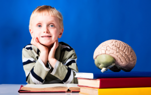 Read more about the article How Autism Affects the Brain